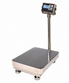 Весы товарные напольные ProMAS PM1HWS