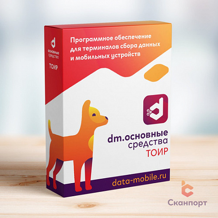 ПО DM.Тоир
