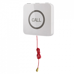 Кнопка вызова iBells 310S влагозащищенная со шнуром для МГН в Кургане