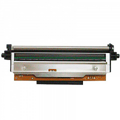 Печатающая головка 203 dpi для принтера АТОЛ TT621 в Кургане
